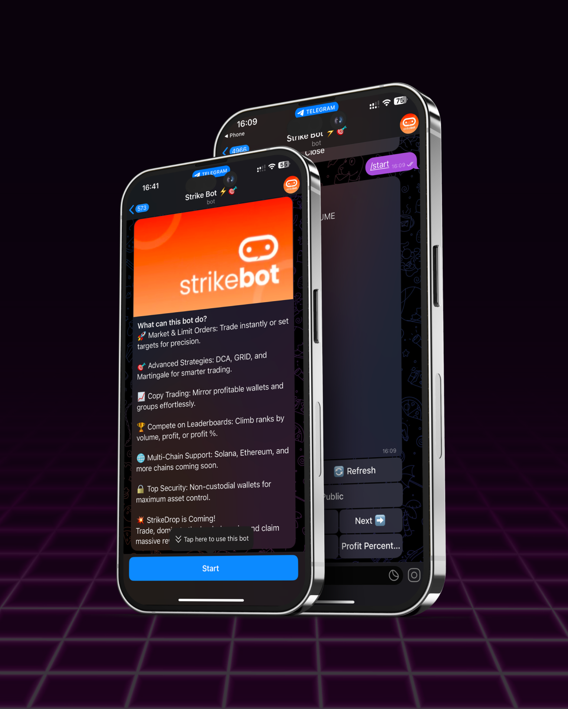 Strikebot screen 1
