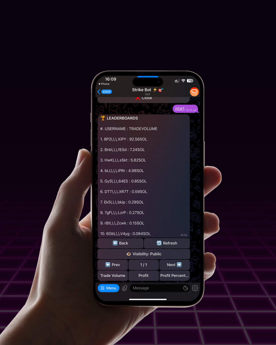 Strikebot screen 2