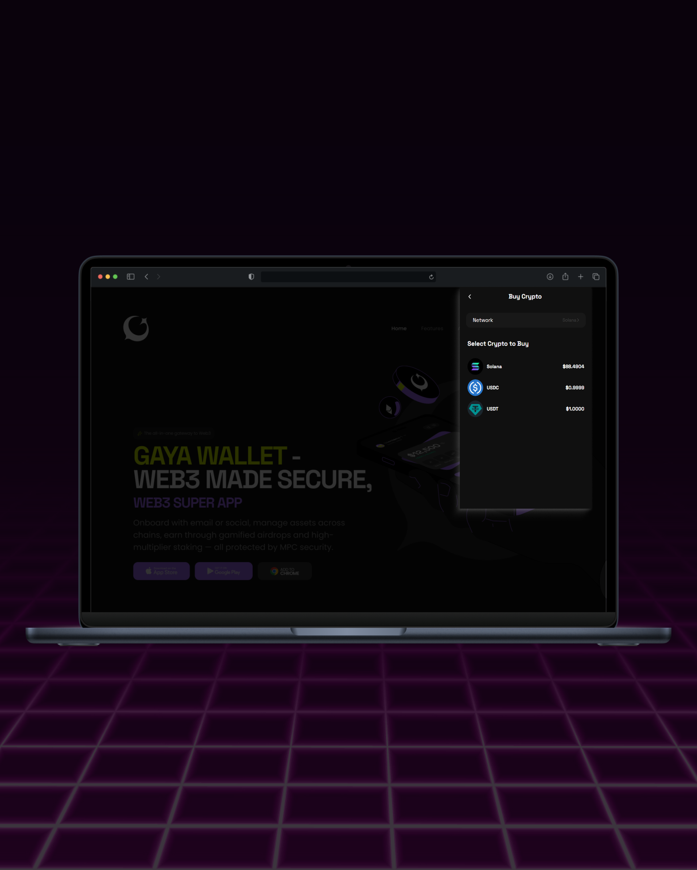 GAYA Wallet Extension screen 3